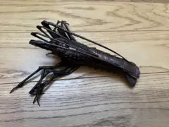 2026年最新】自在置物 海老の人気アイテム - メルカリ