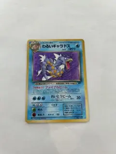 わるいギャラドス プロモカードパック 25th ANNIVERSARY edition S8a-P