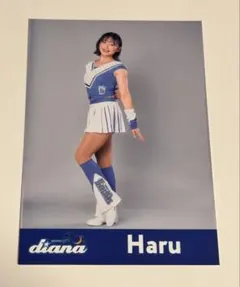 2026年最新】横浜ベイスターズdianaの人気アイテム - メルカリ