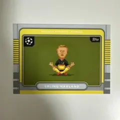 2026年最新】ハーランド カードの人気アイテム - メルカリ