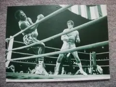 2026年最新】シルベスター・スタローンの人気アイテム - メルカリ