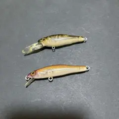 2026年最新】ライブxスモルトの人気アイテム - メルカリ