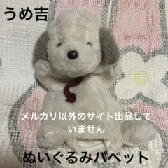 2026年最新】うめ吉 パペットの人気アイテム - メルカリ