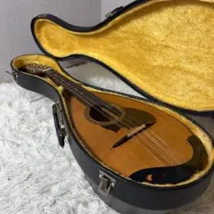 2026年最新】SUZUKI マンドリン m-210の人気アイテム - メルカリ