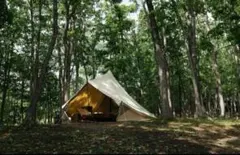 2026年最新】モーニンググローリーTCの人気アイテム - メルカリ