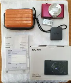 2026年最新】sony dsc-wx500 ケースの人気アイテム - メルカリ