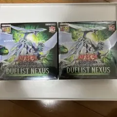 2026年最新】デュエリストネクサス 未開封boxの人気アイテム - メルカリ