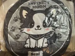 2026年最新】登坂広臣 クッションの人気アイテム - メルカリ