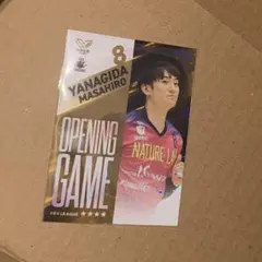 2026年最新】柳田将洋の人気アイテム - メルカリ