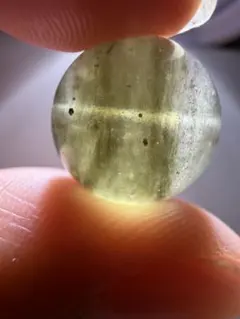 2026年最新】ブラックリビアングラスの人気アイテム - メルカリ