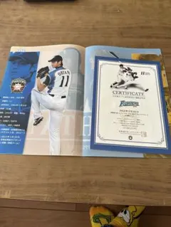 2026年最新】日本ハム 大谷 観戦証明書の人気アイテム - メルカリ