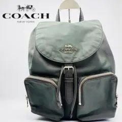 2026年最新】coAcH リュック メンズ グリーンの人気アイテム - メルカリ