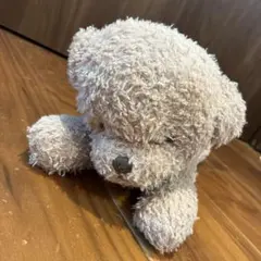 2026年最新】ジェラートピケ トイプードル ティッシュの人気アイテム