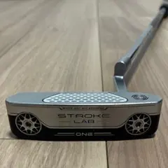 2026年最新】オデッセイ ホワイトホットプロ パターグリップ ODYSSEY