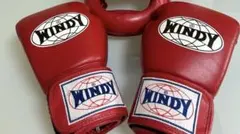 2026年最新】ウイニング ミットの人気アイテム - メルカリ