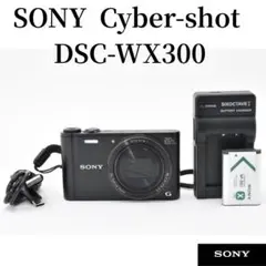 2026年最新】sony wx300の人気アイテム - メルカリ
