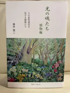 2026年最新】森井啓二 光の魂たちの人気アイテム - メルカリ