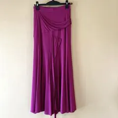 2026年最新】チャコット 社交ダンス スカートの人気アイテム - メルカリ