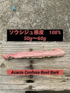 2026年最新】acacia confusaの人気アイテム - メルカリ