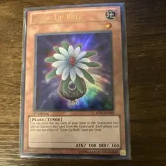 2026年最新】グローアップバルブ 英語の人気アイテム - メルカリ