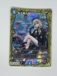 2026年最新】シャコガイルbの人気アイテム - メルカリ