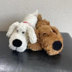 2026年最新】como＆rayの人気アイテム - メルカリ