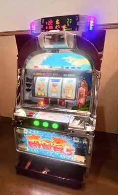 2026年最新】南国育ち実機の人気アイテム - メルカリ