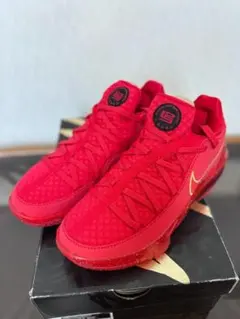 2026年最新】ナイキ レブロン17の人気アイテム - メルカリ