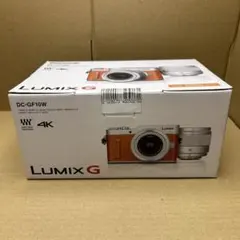 2026年最新】Panasonic ミラーレス一眼カメラ ルミックス GF9 ダブル
