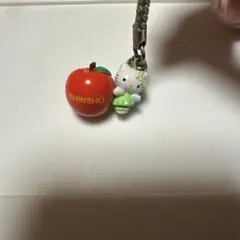 2026年最新】信州 りんご キティの人気アイテム - メルカリ