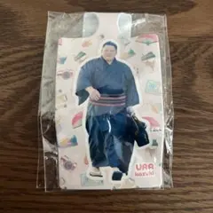 2026年最新】白鵬断髪式の人気アイテム - メルカリ