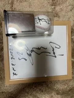 2026年最新】カープ サインボール 新井の人気アイテム - メルカリ