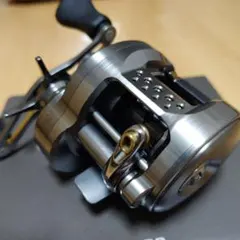 2026年最新】カルカッタコンクエストBFS 右の人気アイテム - メルカリ