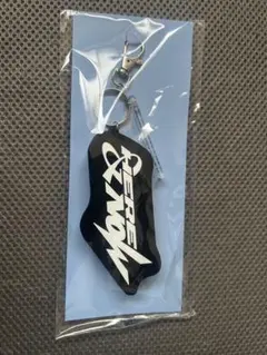 2026年最新】ボイスキーリングの人気アイテム - メルカリ