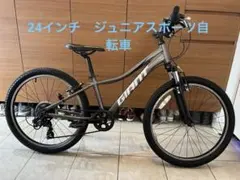 2026年最新】ジャイアント GIANT XTCの人気アイテム - メルカリ