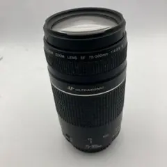 2026年最新】Canon LENS EF 75-300mm 1:4-5.6の人気アイテム - メルカリ