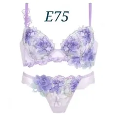 2026年最新】サルート 63の人気アイテム - メルカリ