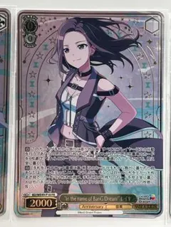 2026年最新】ヴァイスシュヴァルツの人気アイテム - メルカリ