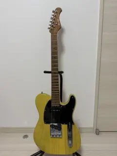 2026年最新】bacchus テレキャスターの人気アイテム - メルカリ