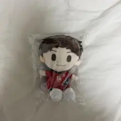 2026年最新】石川祐希 ぬいぐるみの人気アイテム - メルカリ