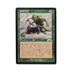 2026年最新】mtg適者生存の人気アイテム - メルカリ