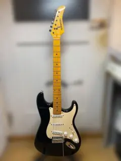 2026年最新】ストラト fernandesの人気アイテム - メルカリ