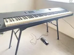 2026年最新】kurzweilの人気アイテム - メルカリ