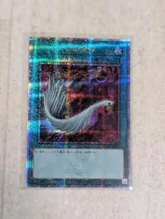 2026年最新】ハーピィの羽根帚 25の人気アイテム - メルカリ