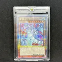 2026年最新】ブルーアイズホワイトドラゴン 25th 絵違いの人気アイテム