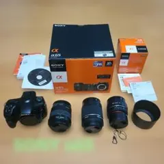 2026年最新】sony α65の人気アイテム - メルカリ