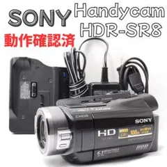 2026年最新】hdr-sr8の人気アイテム - メルカリ