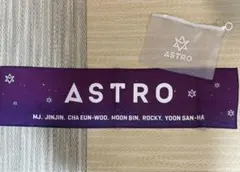 2026年最新】astro スローガン 公式の人気アイテム - メルカリ