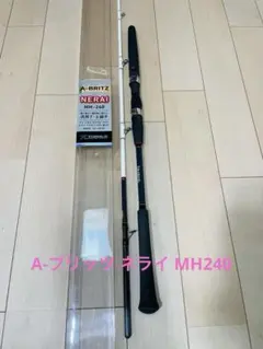 2026年最新】ダイワ Aブリッツ ネライの人気アイテム - メルカリ