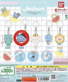 2026年最新】ジェオチャム レインの人気アイテム - メルカリ